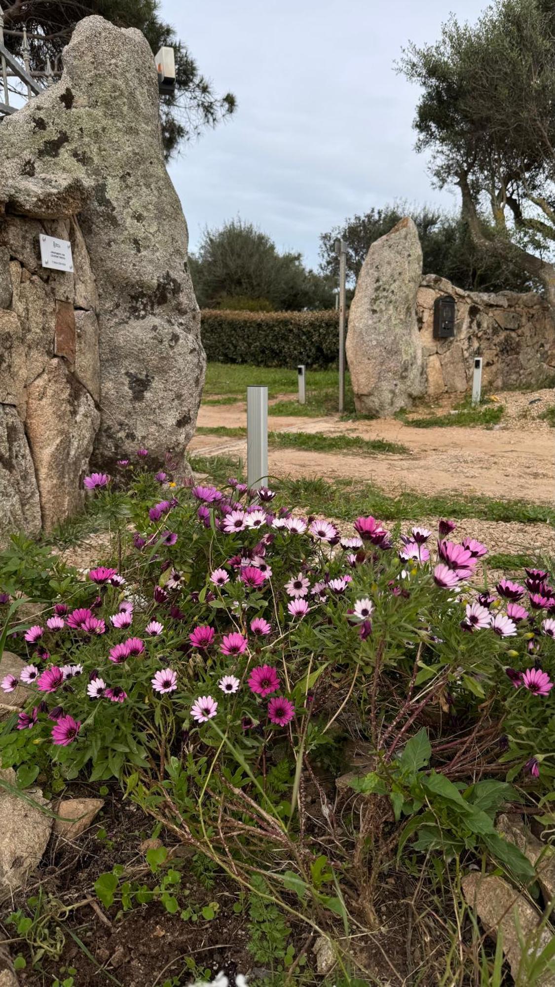 Appartamento I Pini Palau Exterior foto